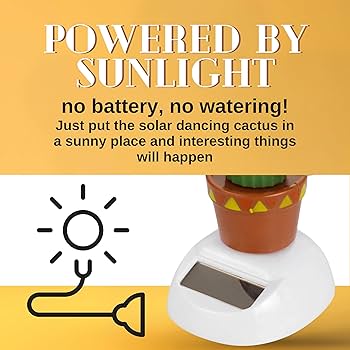Amazon.com: Solar Powered Dancing Cactus – Sun Power